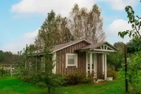 Боровики - 1