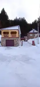 Дом в сосновом бору - 2