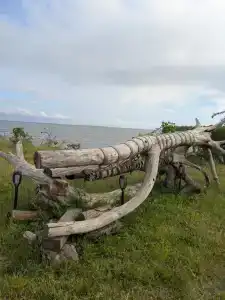 Дачная отмель - 3
