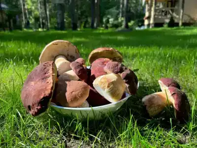 Двухкомнатный коттедж - 119