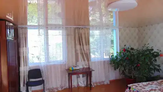 Надежда - 13