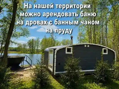 Дом, рыбалка. Вдохновение - 7