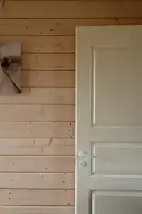 Барсятос - 85