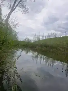 Дом с видом на лес и озеро с баней в Воронино - 38