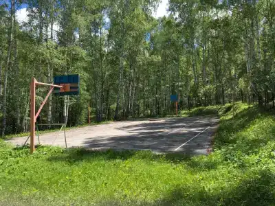 Снежный Барс - 5
