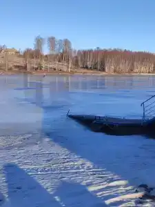 Эко-Лайф - 42