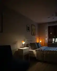 Видовая и стильная квартира в стиле Сканди с виниловым проигрывателем - 6