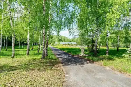 Дом на Лесной Опушке - 6