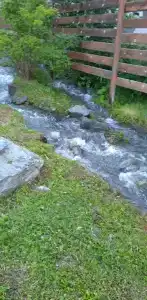 Лесной ручей - 9