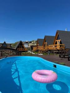 Аквариум - 67