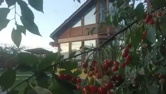 Солнечный дом - 9