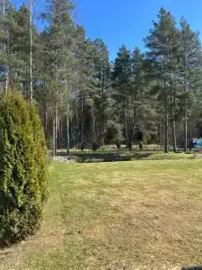 Дом у леса - 33