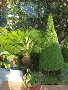 Уютные апартаменты в частном доме с террасой с видом на море - 56