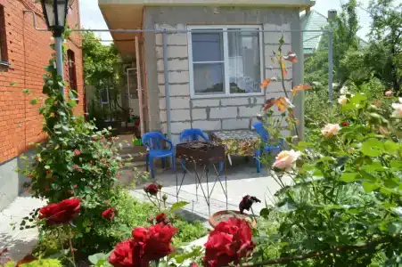 Родничок - 24