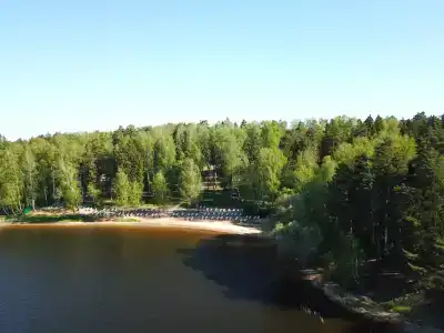 Вишня - 20
