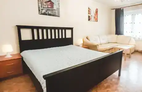 Apartment on Pozhalostina - 0