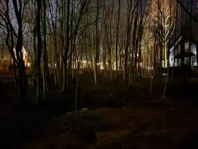 Звен Дзен - 17