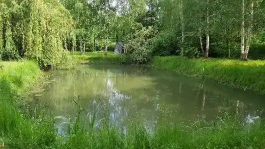 Гостевой дом - 25