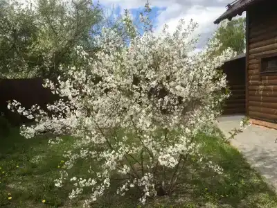 Домик с сауной 2 - 48