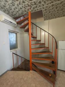 Елена - 9