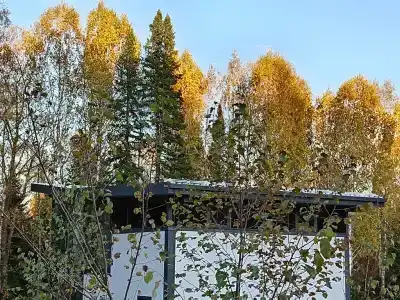 Сталь - 67