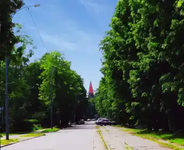 Чемодан - 15