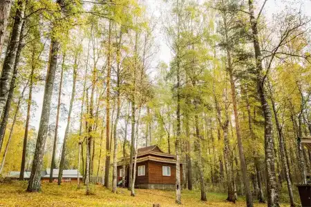 Авиаретро - 155