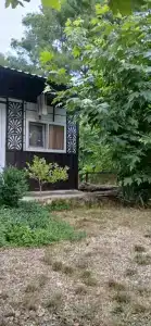 Светлана - 57