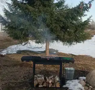 Валда - 25
