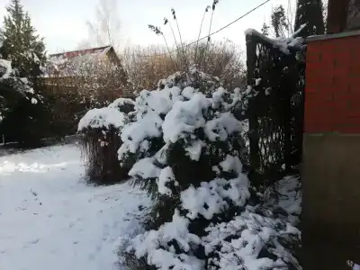 Уютный дом у Можайского моря - 16