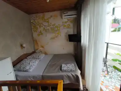 АИС - 2