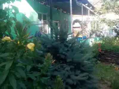 Дом на Пляжной 12 - 3