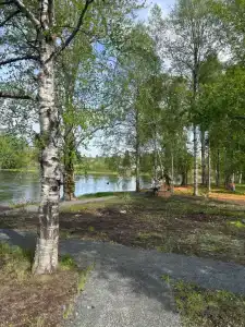 Отдых в тишине у реки - 90