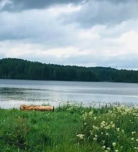 Домик в Карелии Насто - 16