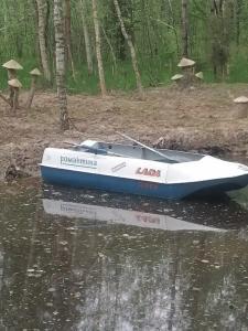 Домик в лесу с баней в Есинке - 10