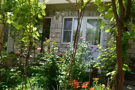 Родничок - 37