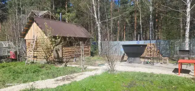 Сироп - 12