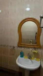 Золотой мустанг - 28