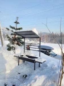 Сердце Сибири - 117