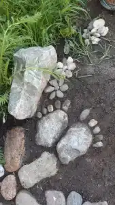 Душевный дом - 2