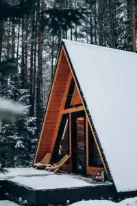Вудлэнд - 36