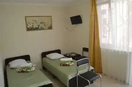 Родничок - 13