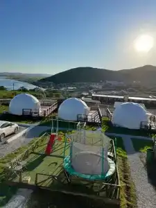 Аквариум - 54