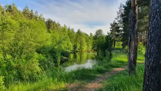 Домик гостевой в Кантаурово - 14