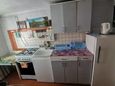 Дом для отпуска у Натальи - 15