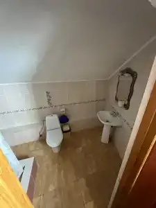 Магнолия - 24