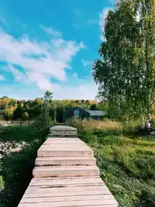 Лунный свет - 111