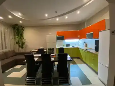Crazy Dog - 1
