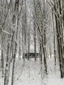 Озеро Ле - 19