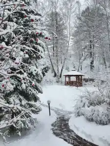 Каменный цветок - 55